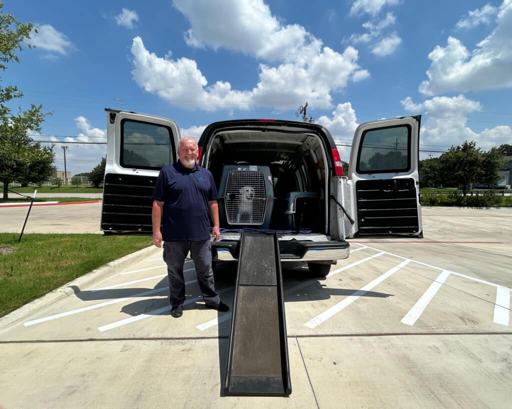 Pet taxi driver with a dog