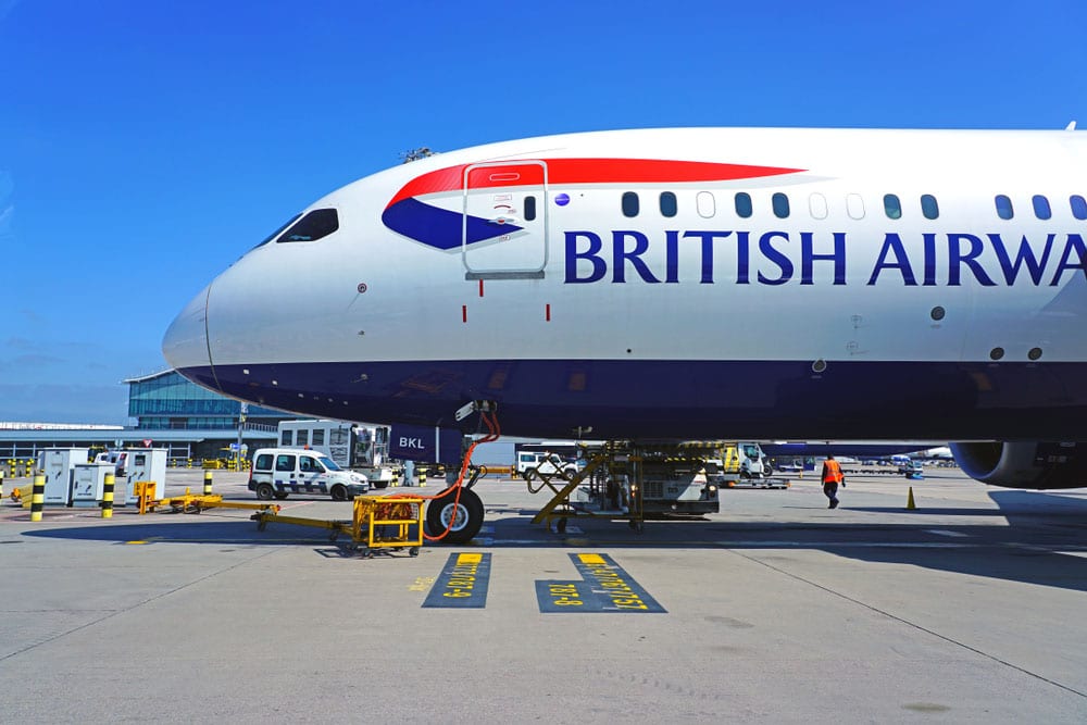 British Airways plane for international pet relocation