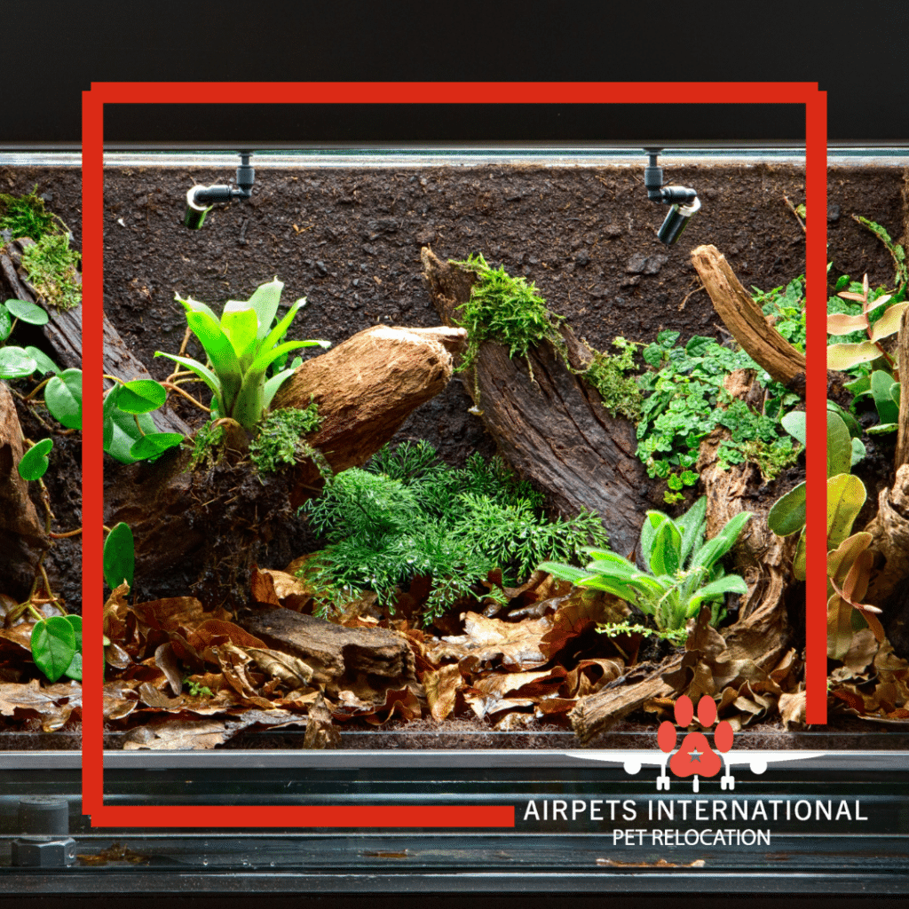 The Best Ways to Ship Your Reptiles Safely and Legally