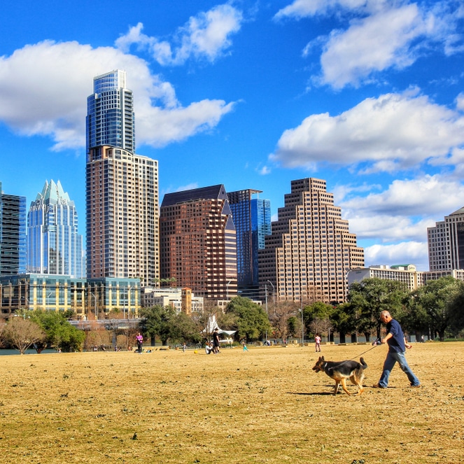 Austin skyline for domestic pet relocation